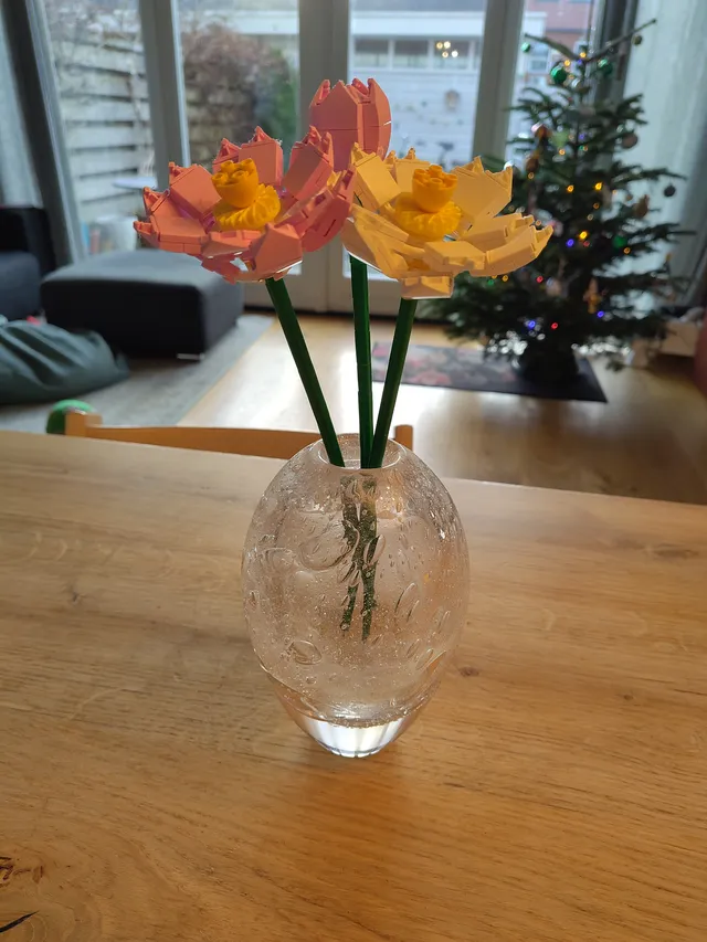 Lotusbloemen 2